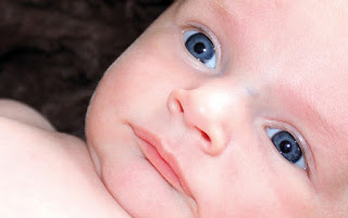 Bambino di 8 mesi: cosa sa fare il neonato?